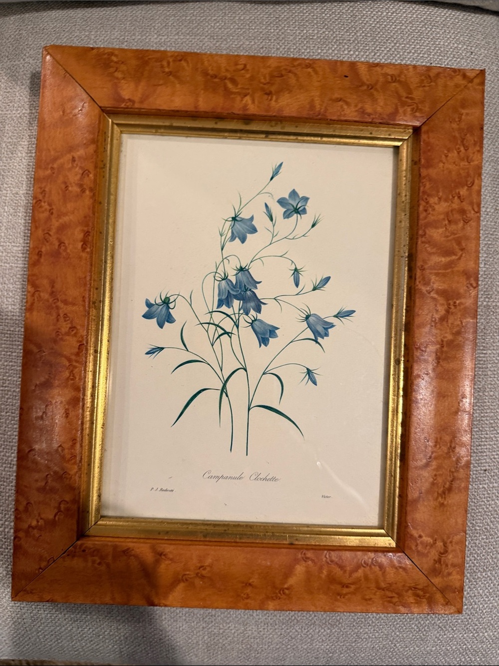 Framed Blue Botanical Print - Blue Floral Wall Art made in England